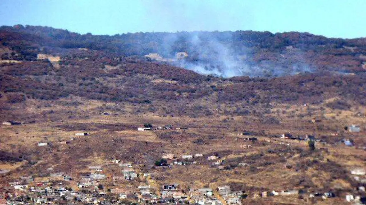 Incendio forestal en Quinceo